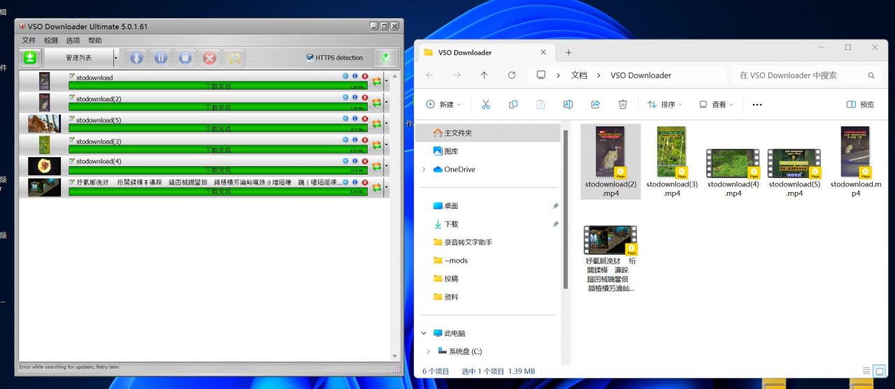 【2024.10.26】蝴蝶号视频下载工具，淘宝收费的下载工具 附带使用教程-Cos糖心